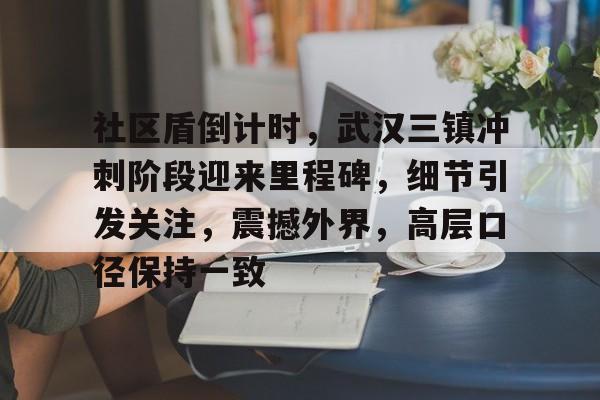 开云官方网页版-社区盾倒计时，武汉三镇冲刺阶段迎来里程碑，细节引发关注，震撼外界，高层口径保持一致-开云官方网页版